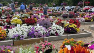 Cultivate’24 to Offer a Review of National Annual and Perennial Trials