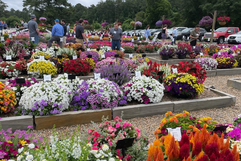 plant trials