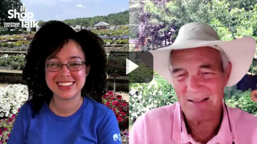 Greenhouse Grower’s Hot Takes on Geranium, Agastache, and Rhododendron
