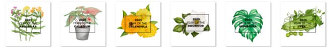 The selections for National Garden Bureau's 2025 "Year of the" crop and plant lineup