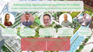 Learning Opportunity: Self-Sufficiency and Sustainability in Urban Agriculture