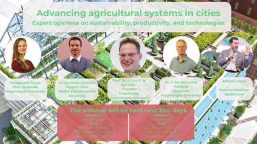 Learning Opportunity: Self-Sufficiency and Sustainability in Urban Agriculture