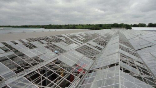 8 Steps to Prepare Your Greenhouse for Storms and Natural Disasters