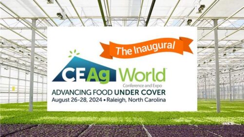CEAg World Is Leading the Way in Covered Produce Production