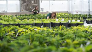 Why There’s a Bright Future in Horticulture Education