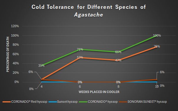 Cold tolerance for different species of agastache graph chart
