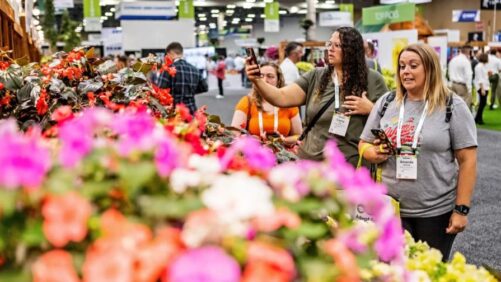 The Final Highlights from the New Varieties Zone at Cultivate’24