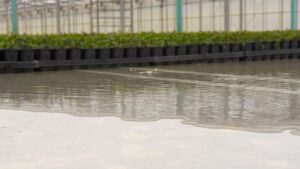 Training and Tools to Save Water in the Greenhouse