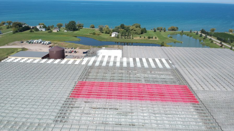 Freeman Herbs, located in Ontario, Canada, has used agrivoltaics for several years aerial view with ponds