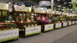 Highlights from the New Varieties Zone at Cultivate’24