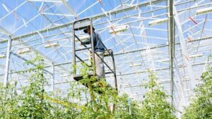 Canadian Government Investing in Horticultural Research and Innovations