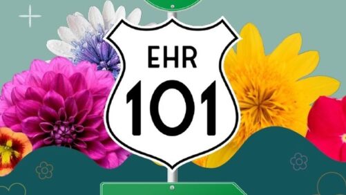 Eason Horticultural Releases 101 Report on New Varieties