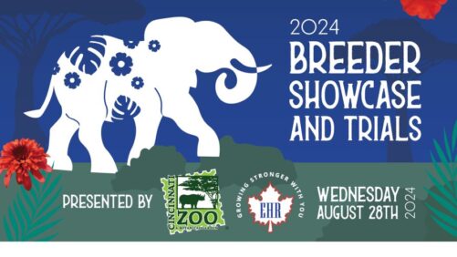 Cincinnati Zoo Breeder Showcase and Trials to Spotlight Summer Plant Varieties