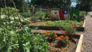 New Research Shows Gardening Can Improve Mental Health