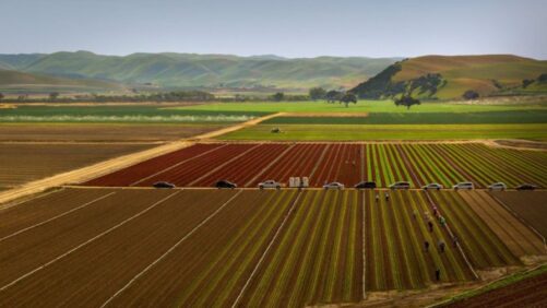 New IoT Partnership Addresses Rural Connectivity Gap in Agriculture