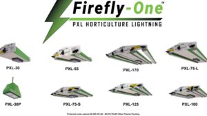 2024 Progress Award Presented to Neotek Lighting for Pulsed Xenon Technology