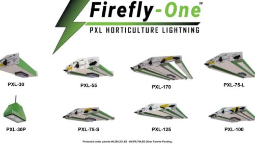 2024 Progress Award Presented to Neotek Lighting for Pulsed Xenon Technology