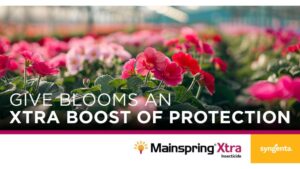 Syngenta Announces New Insecticide for Enhanced Ornamental Pest Control