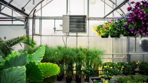 Why Size and Efficiency Matter for Greenhouse Heating Systems