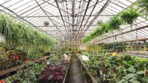 A Diverse Collection of New and Exciting Exotic Plants
