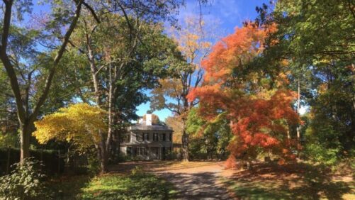 American Horticultural Society Announces New Fall 2024 Lifelong Learning Programs