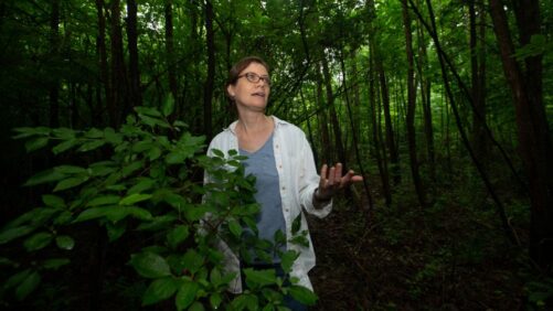 Biologist Organizes Public Gardens to Protect against New Invasive Species