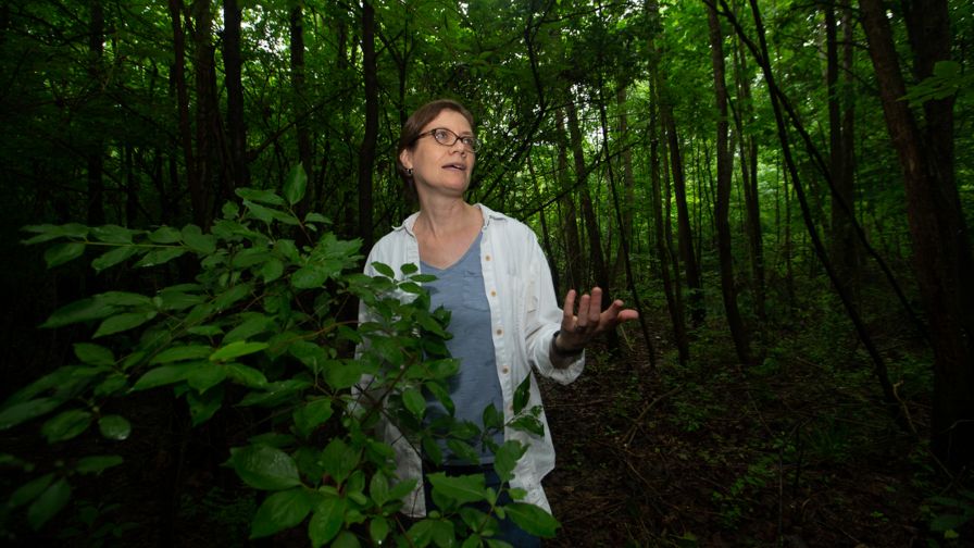 Botanist and Biologist Theresa Culley of University of Cincinnati (UC) College of Arts in Harris Benedict Nature Preserve