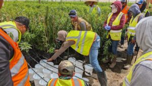 How to Make Irrigation Best Practices Accessible through Hands-on Learning