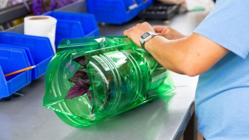 How New Packaging Legislation Will Affect the European Floriculture Industry