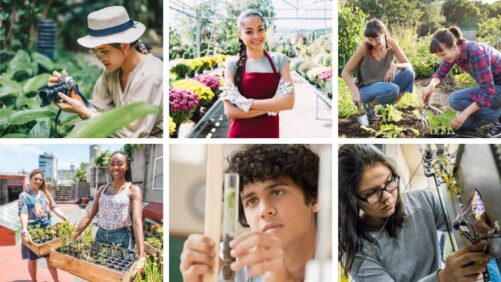 Seed Your Future Wants You to Share Your Horticulture Career Journey