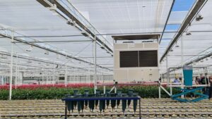 New Tools and Techniques Saving Energy and Boosting Gerbera Production