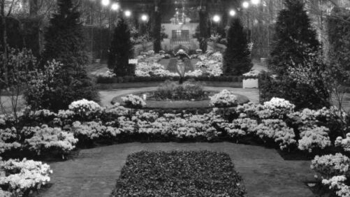 2025 Philadelphia Flower Show to Feature ‘Gardens of Tomorrow’ Theme