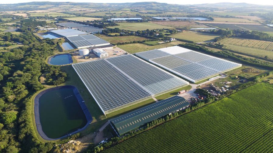 The CEA Accelerator from the Resource Innovation Institute (RII), from which three working groups have been announced