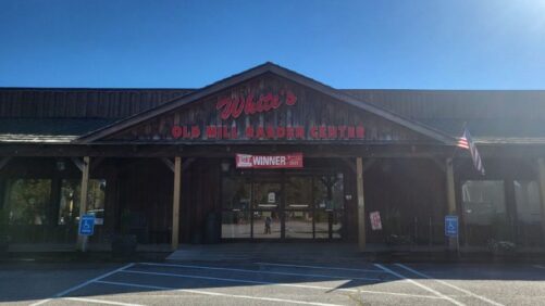 White’s Nursery and Greenhouses to Hold Final Auction Event