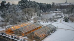 Mid-Season Maintenance for Your Greenhouse Before Fall