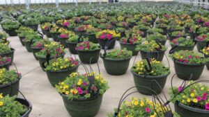 A Glimpse at the State of the Floriculture Industry