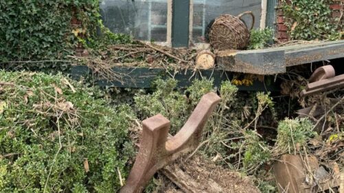 How Greenhouses and Nurseries Are Rebounding after Hurricane Helene