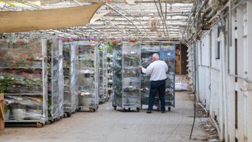 How to Evaluate Your Greenhouse Insurance Needs for 2025
