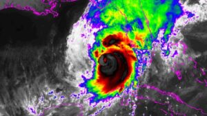 How Florida Growers Are Preparing for Hurricane Milton Recovery