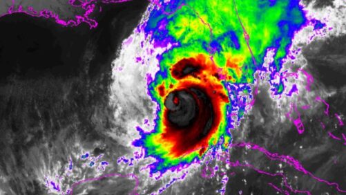 How Florida Growers Are Preparing for Hurricane Milton Recovery