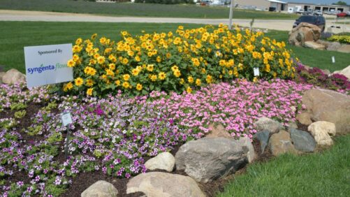 Extreme Weather Couldn’t Stop Top Performers at Plantpeddler 2024 Trials