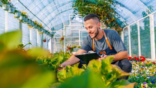 From Bench to Breakthrough: Growers Share What’s Working in Greenhouse Production