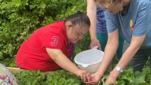 5 Winners Selected for the 2024 Therapeutic Garden Grant Program