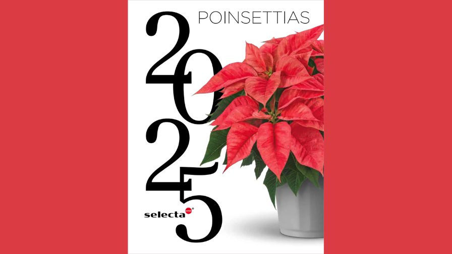 2025 Poinsettias Catalog cover from Selecta One