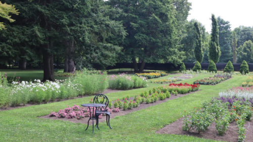 Massachusetts Trials Highlight Plants Best Suited for New England Climate