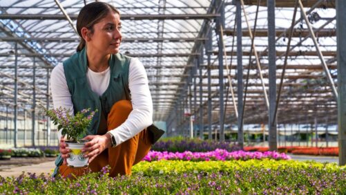 How the Recent Deal with Envu and FMC Will Bring More Crop Protection Solutions to Greenhouse Growers