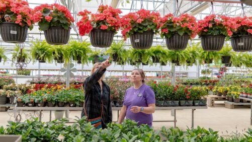 What the SECURE 2.0 Act Means for Greenhouse Retirement Plans