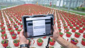Myths vs. Realities in Greenhouse Software