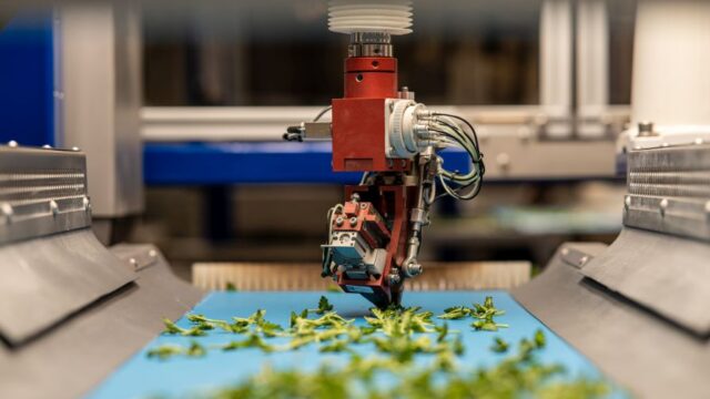 Cutting Planter Technology Continues to Expand - Greenhouse Grower