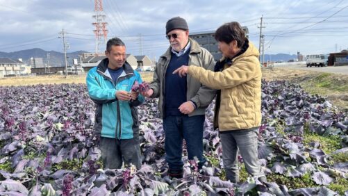 How Rick Grazzini Built a Legacy in Plant Breeding